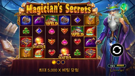 와일드 와일드 리치스